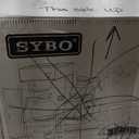 SYBO 12-Cup Commercial Drip Coffee Maker, Pour Over Coffee Maker Brewer with 2 Glass Carafes and Warmers, Stainless Steel Cafetera SF-CB-2GA