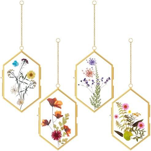 Qunclay 4 Pcs Glass Pressed Flower Frame Hexagon Glass Frame for Pressed Flowers with Chain Double Floating Picture Geometric Wall Decor for Photo Picture Poster in Home Gallery, 4 x 6 in
