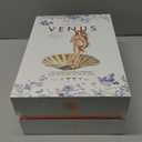 Venus Seashell Coupe Cocktail Glasses | Set of 4 | 8 oz Crystal Ribbed Champagne Saucers for Drinking P-Star and Espresso Martini, Margarita, Daiquiri, Cosmopolitan, Gimlet | Elegant Gift Glass warem, Pack of 2