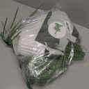 Artificial Areca Palm Plant Fake Tropical Tree Perfect Faux Plants in Pot for Indoor Outdoor House Home Office Wedding Garden Modern Decoration Housewarming Gift (80cm Tropical Banana)