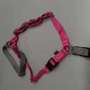 PetSafe Easy Walk Harness for Dogs - Pull-Free Walks - Patented Martingale Loop Design - Front Chest Leash Attachment - Comfort Straps - Breathable Harness Design - Small Raspberry/Gray