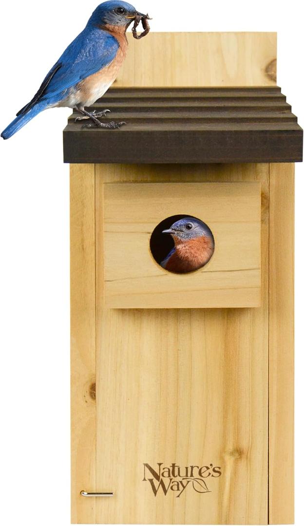 Natures Way Cedar Bluebird & Cavity Nesting House, Predator Guard, Ventilated Design & Easy Access Clean-Out Panel, Natural Wood