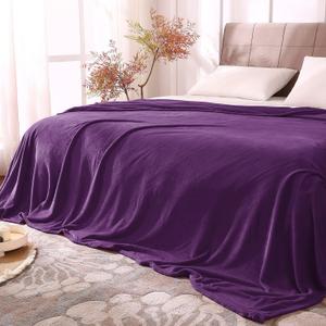BEDELITE Fleece Blankets Queen Size Purple Throw Blankets for Bed, Luxury Plush Cozy Fuzzy Blanket 90x90 inches, Super Soft Warm Lightweight Throw Blanket All Seasons Suitable