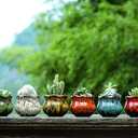 Cute Ceramic Succulent Planters, Garden Pots with Drainage and Attached Saucer, Set of 6 - Plants Not Included