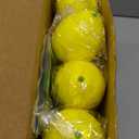 24 Pack Fake Lemons Artificial Fruits with 24 Pack Leaves Faux Yellow Lifelike Simulation Lemons Decor Realistic Fruits for Home Kitchen Table Cabinet Holiday Party Photography Props