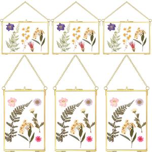 Treela 6 Pcs Pressed Flower Glass Picture Frame Gifts 8 x 10 Inch Christmas Brass Hanging Double Glass Gold Floating Photo Clear Horizontal Vertical with Chain for Gallery Vintage Artwork Display