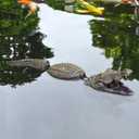 Alligator Pool Float Scary Decor - Gator Scare Away Geese Duck Bird Animal Large Crocodile Statue Floating Pond Decor Outdoor Garden Yard Lake Halloween Swimming Pool Decorations