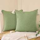 Tosleo Boho Spring Decorative Throw Pillow Covers 20 x 20 Set of 2 Farmhouse Cute Stripe Pillowcase with Tassels Minimalist Neutral Green Woven Square Cushion Case for Sofa Couch Bedroom Living Room