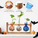 Mimorou Plant Propagation Stations Plant Terrarium with Wooden Stand Hydroponics Glass Vase Planter for Home Office Garden Table Decoration(Pumpkin)
