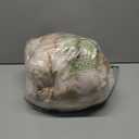 FUNNY FUZZY Fluffy Dog Car Seat Cover for Back Seat (Bench), Water-Resistant with Nonslip Backing,Pet Seat Protector for Cars SUVs Trucks (Beige (53"26"22")