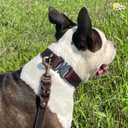 Heavy-Duty Leather Dog Leash 5.6 ft - Soft & Strong Training Dog Leashes for Small, and Medium Breeds (Brown, 5.6 ft x 5/8")