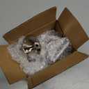 TOMOON W10594481 Gas Stoven Knob for Whirl-Pool Cooktop Range WCG97US0DS00 WCG97US6DS00,Stainless Steel Control Knob Replaces WPW10594481 3281332 AP6023301