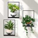 Wall Planters for Indoor Plants, Window Plant Shelves Set of 3, Wall Plant Stand to Hold Large Pots - Premium Metal Hanging Plant Holder for Indoor Outdoor Decor