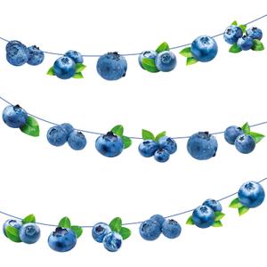 Blueberry Party Banners 3Pcs Berry Sweet Birthday Decorations Blueberry Cutout Banners Pre-Strung Berry Themed Baby Shower Decorations for Boys Girls Summer Fruit Birthday Party Supplies