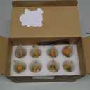 Hompavo Upgraded Flame Light Bulbs, E12 Chandelier Base Candelabra Flickering Fire Light Bulb, Clear Candle Light for Halloween Christmas Party Porch Indoor Outdoor Home Decorations - C35/8 Pack