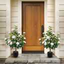 Hananona 2 Pcs Artificial Camellia Trees Faux Camellia Plant in Pot with Flowers Indoor Plants for Spring Home Decor Outdoor Porch Front Door Decor (White, M)