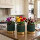 3-Pcs 4 Inch Cement Planters Set - Vintage Ribbed Flower Pots with Gold Rim and Drainage Holes, Modern Ceramic Succulent Pots, Small Plant Containers for Home, Office, Desk Decor, Green