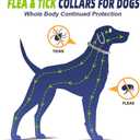 Flea Collar for Dogs, Tick Collar for Larger Dogs, Dog Flea Collars,8 Months Protection,Plant-Based Ingredients,Comfortable Dog Flea Collars  Perfect for Sleep, Play, Walks & Water Fun-2P