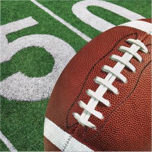 Creative Converting Football Field Disposable Party Paper Napkins, 16 Count, Brown