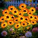 Solar Garden Lights 6 Pack 36 Solar Sunflower Lights, Gifts for Mom Women Grandma Mothers Day Birthday, Waterproof Solar Flower Light for Outdoor Decoration, Decorative Stakes for Yard,Landscape,Patio