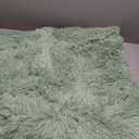 Fluffy Runner Rugs for Bedroom 2x6, Modern Shaggy Area Rug for Hallway Living Room, Plush Soft Fuzzy Bedside Carpet for Kids Girls Boys Room Nursery Decor, Mint Green