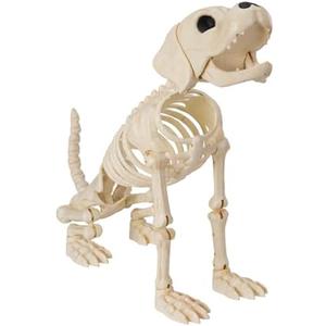 Amazon.com : JOYIN Halloween Golden Retriever Skeleton 34 Animal Dog Plastic Skeleton with Movable Posable Joints for Haunted Houses Halloween Decorations, Graveyard Scenes, Outdoor Indoor Garden Party Decor : Patio, Lawn & Garden