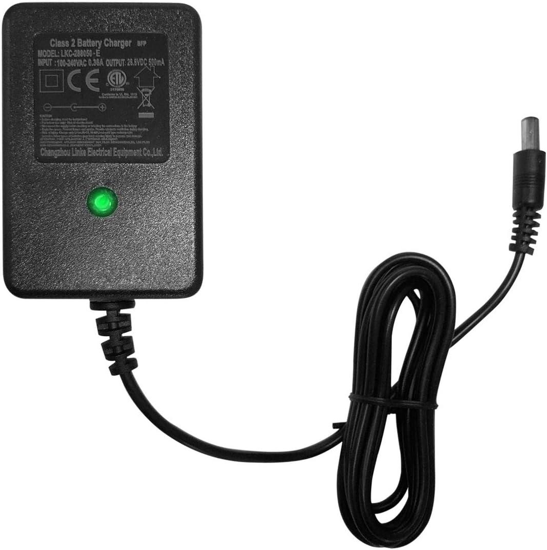 FLHFULIHUA 24V Charger for Disney Princess Carriage Toyota Tundra 24 Volt Battery Charger for Kids Ride On Toys Disney Carriage Buggy Car Children Ride On Car Accessories
