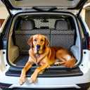 Dog Net for Car, 47.2x35.4 Inch Dual Layer Dog Car Net Barrier Pet Barrier Car Divider Back Seat Net for Most Cars Suvs and Trucks Driving Safely (Black)