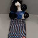 CATSUMO Cat Wrestling Glove Puppet – Interactive Hand Mitt with Durable Protective Sleeve and Catnip  Play & Enrichment