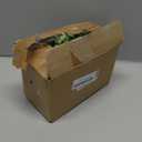 DearHouse Faux Eucalyptus Garland Plant, 2 Pack Artificial Vines Hanging Eucalyptus Leaves Greenery Garland for Wedding Backdrop Arch Wall Decor, 6 Feet/pcs UV Protected Indoor Outdoor