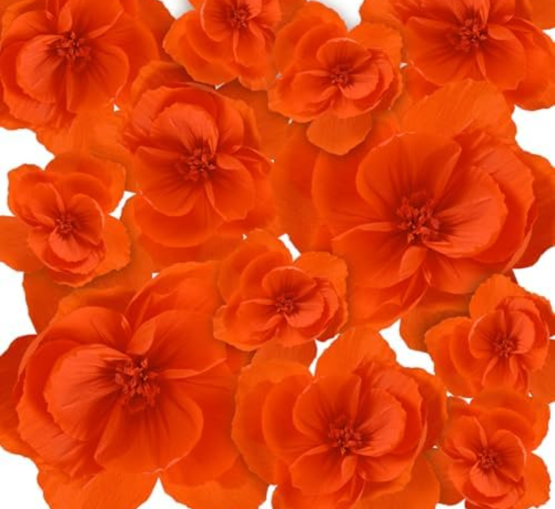 Giant Paper Flowers Artificial Large Paper Flower Decoration for Handcrafted Wall Backdrop Christmas Mexican Wedding Graduation Bridal Shower Birthday Party Supplies(Black,12 Pcs)