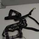 SuperBuddy Cute Dog Harness and Leash, Adjustable and No Pull Harness with Safety Buckle for Large Pet