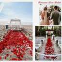 3 x 1000Pieces Rose Petals, Artificial Flower Petals Fake Rose Petals for Romantic Night,Wedding,Proposal Anniversary Flower Decorations(Tiff Blue) (1000pcs)