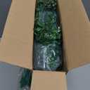 Artificial Grass Wall Panels, 12 Pack 10"x10" Boxwood Hedge Wall Panels with 100 Zip Ties, Boxwood Backdrop for Outdoor Indoor Decorative Fences Privacy Hedge