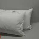 Goose Feather Pillow Queen Size Pack of 2 - Hotel Down Bed Pillows for Sleeping, Soft 600 Thread Count Cotton Cover, Fluffy Support Surround Fill Polyester for Back, Stomach, Side Sleepers