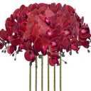 FagusHome 32 Inch Artificial Phalaenopsis Flowers 6 Pcs Artificial Orchid Flowers Stem Plants for Home Dcor (Red)