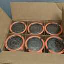 Weck 743 3/4 Mold Jar - Box of 6