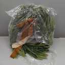 2 Pcs Light Up Christmas Norfolk Pine Wreaths with Bow 20 Inch Lighted Real Touch Xmas Wreaths LED Artificial Realistic for Indoor Outdoor Windows Porch Wall Home Decor(Gold Bow,Classic)