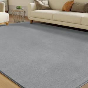 Solid Washable Area Rug - 5x7 Medium Pile Faux Cashmere Carpet for Living Room Bedroom, Grey