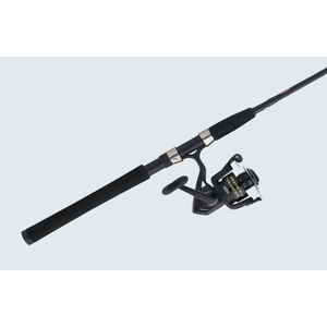 Penn Wrath II Reel and Fishing Rod Combo