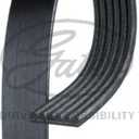 Gates K060950 Micro-V Serpentine Drive Belt