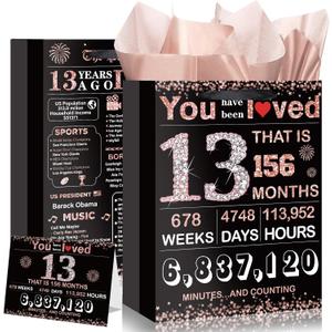 Beg, Black, Size 20x13 in