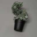 Der Rose 1Pcs Fake Plants Hanging Artificial Potted Faux Eucalyptus Plants for Modern Boho Farmhouse Bathroom Office Desk Wall Book Shelf Living Room Aesthetic Decor Indoor (Grey)