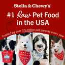 Stella & Chewy's Freeze-Dried Raw Dinner Patties - Dandy Lamb Recipe - High Protein Grain-Free Puppy & Dog Food - Perfect For Picky Eaters - 25 oz (EXP 10/01/26)
