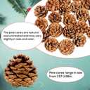 24PCS Christmas Natural Pine Cones,Rustic Pinecones with String for Crafts & Decorating Winter Xmax Holidays Vase and Table Bowl Fillers(Dia. 1.57-1.96 Inches)