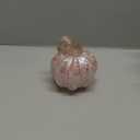 5.1" Hand-Blown Glass Pumpkin Halloween Decor Fall Home Figurines Collectible Harvest Thanksgiving Wedding & Autumn Mantel Decorations Paperweight Tabletop Ornaments(Pink