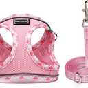 Mercano Soft Mesh Dog Harness and Leash Set, Step-in Reflective Breathable Lightweight Vest Harnesses with Safety Buckle for Small Dogs, Cats (Pink, XS)
