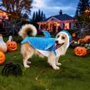 Shark Dogs Costume for Winter, Small and Medium-Sized Shark Dog Jacket, Sharks Dog Vest for Cold Weather, Fleece Puppy Hoodie, Sharks Pet Costume for Cat and Dogs(S)