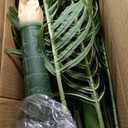 6ft Tall Triple Golden Cane Palm Artificial Tree Large Tropical Palm Tree UV Resistant Fake Plant in Pot for Indoor Outdoor Big House Living Room Outside Patio Office Home Decor 1Pack