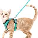 rabbitgoo Cat Harness and Leash for Walking, Escape Proof Soft Adjustable Vest Harnesses for Cats, Easy Control Breathable Reflective Strips Jacket, Emerald, Small